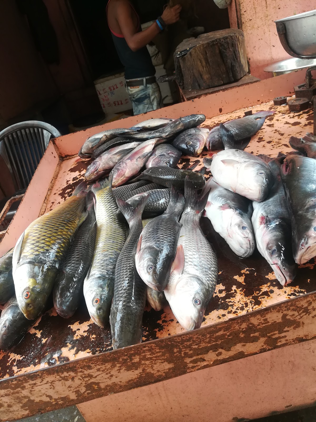 Local Fish Market