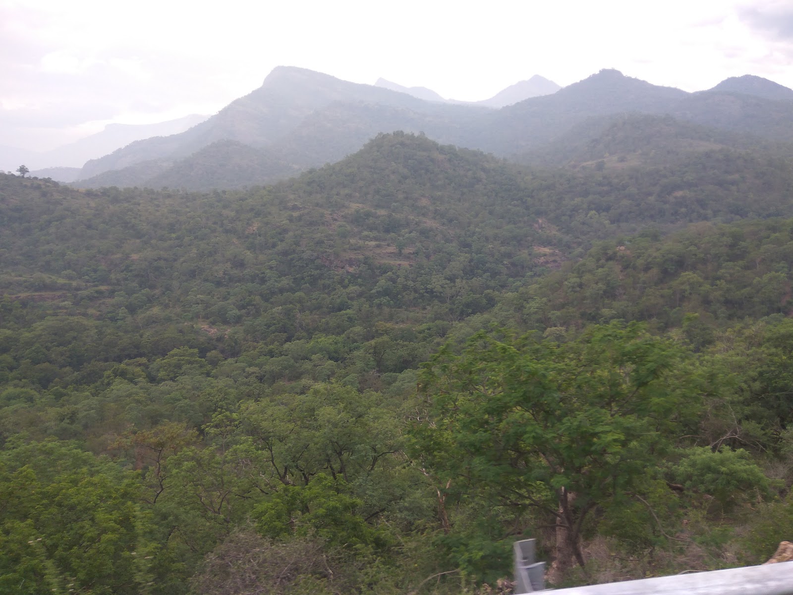 Chinnar Wildlife Sanctuary