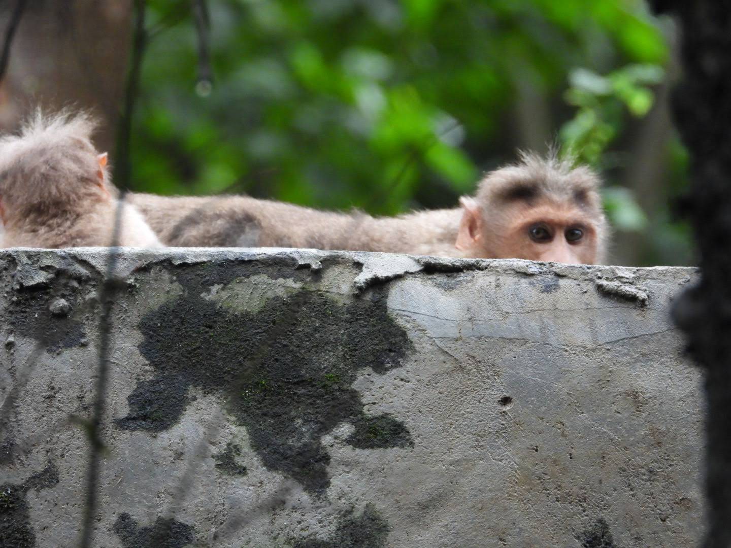 Chinnar Wildlife Sanctuary
