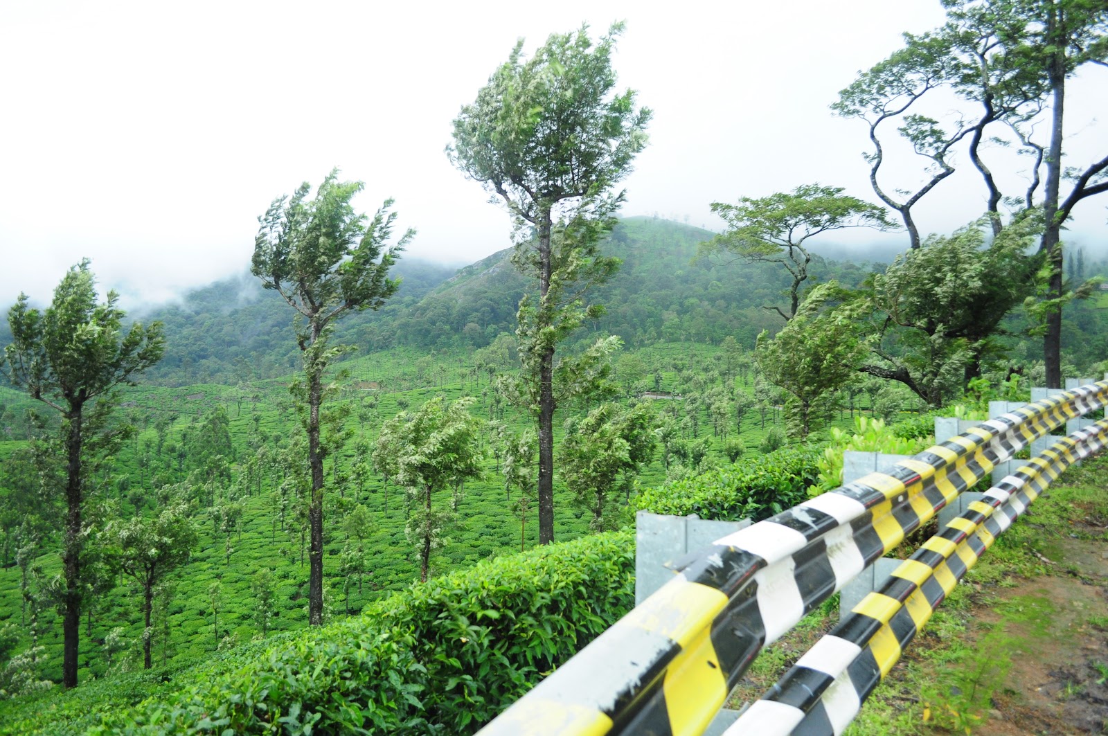 Valparai