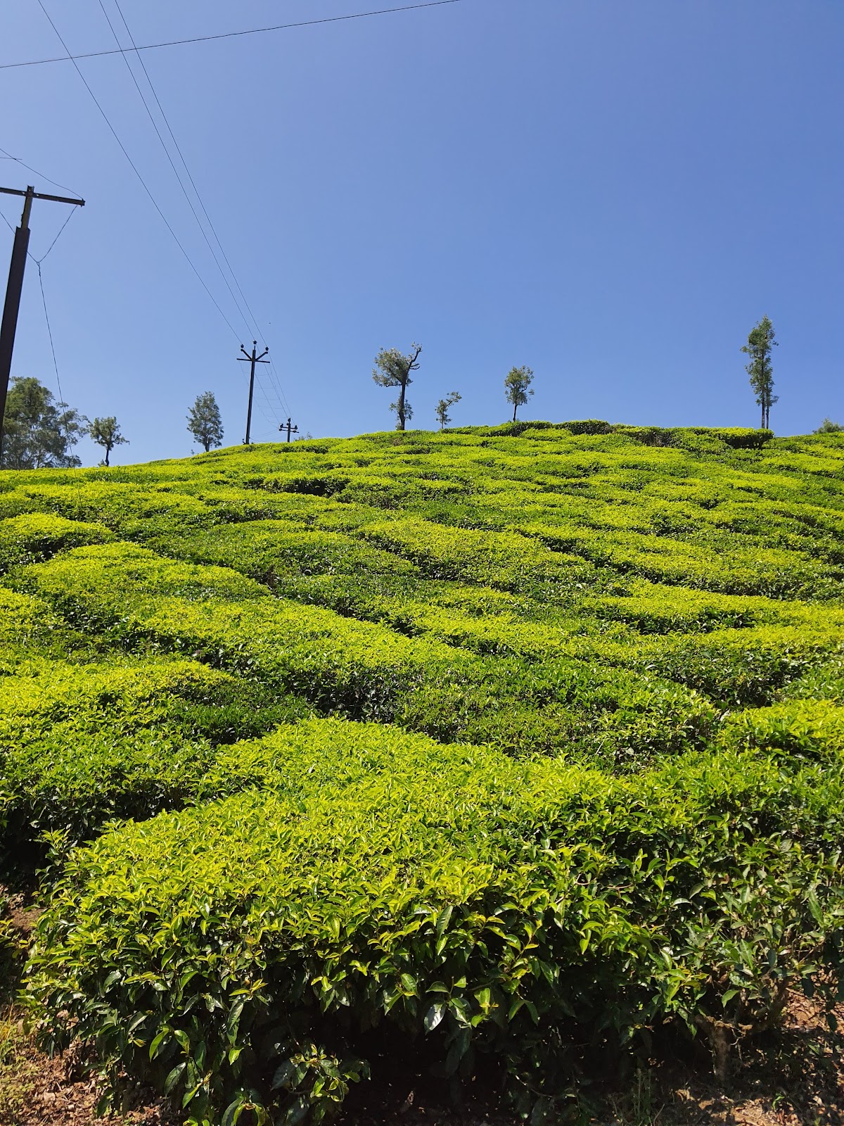 Valparai