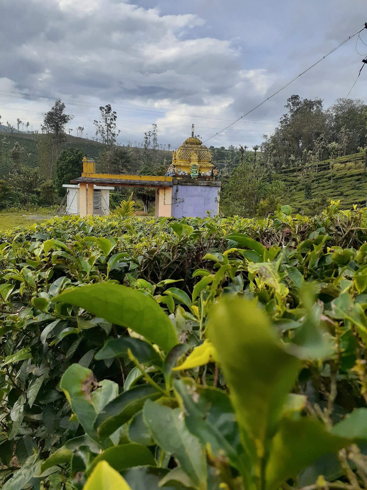 Valparai