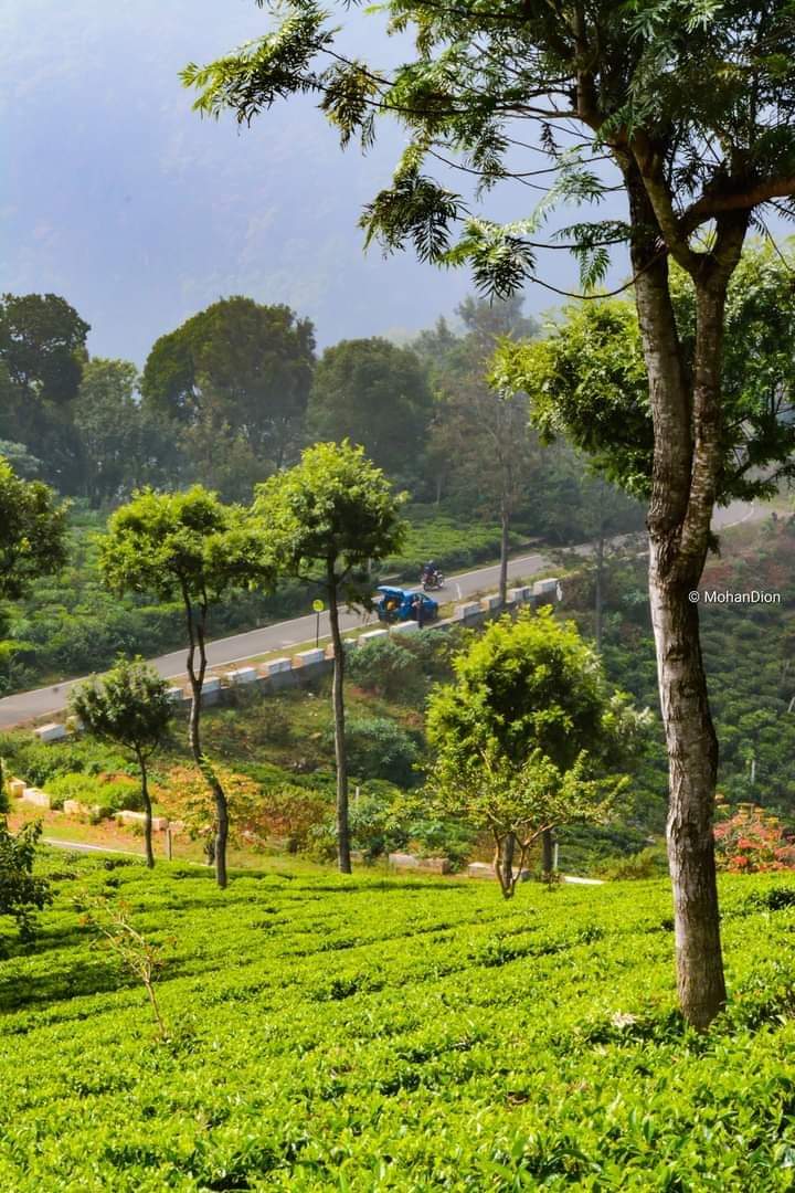 Valparai