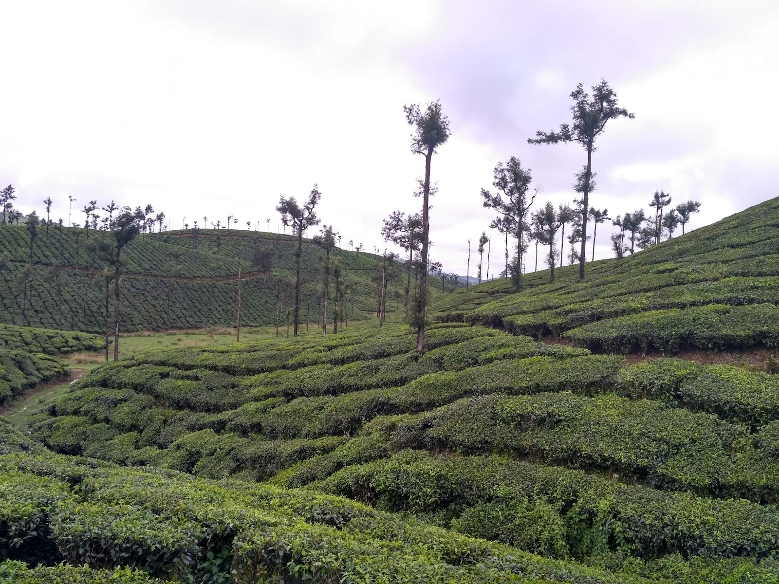 Valparai