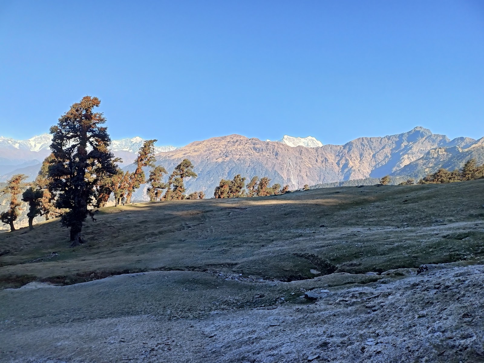 Chopta Tungnath Trek