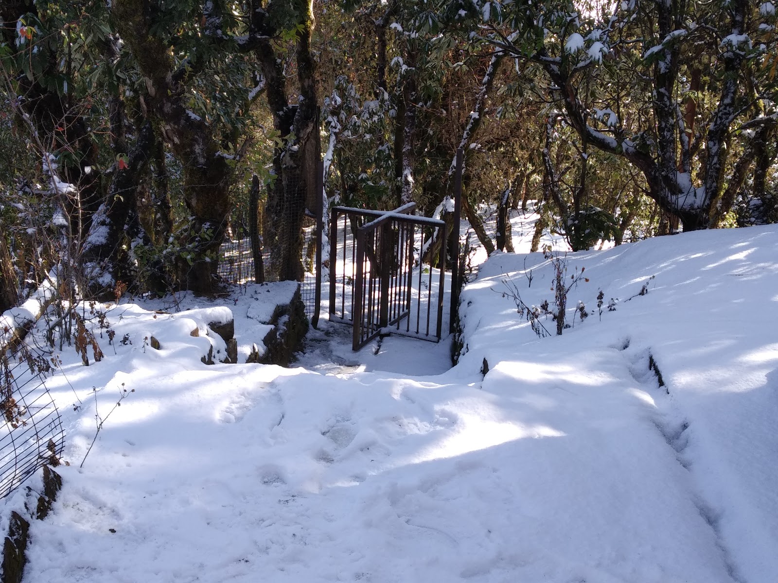 Kanchula Korak Musk Deer Sanctuary