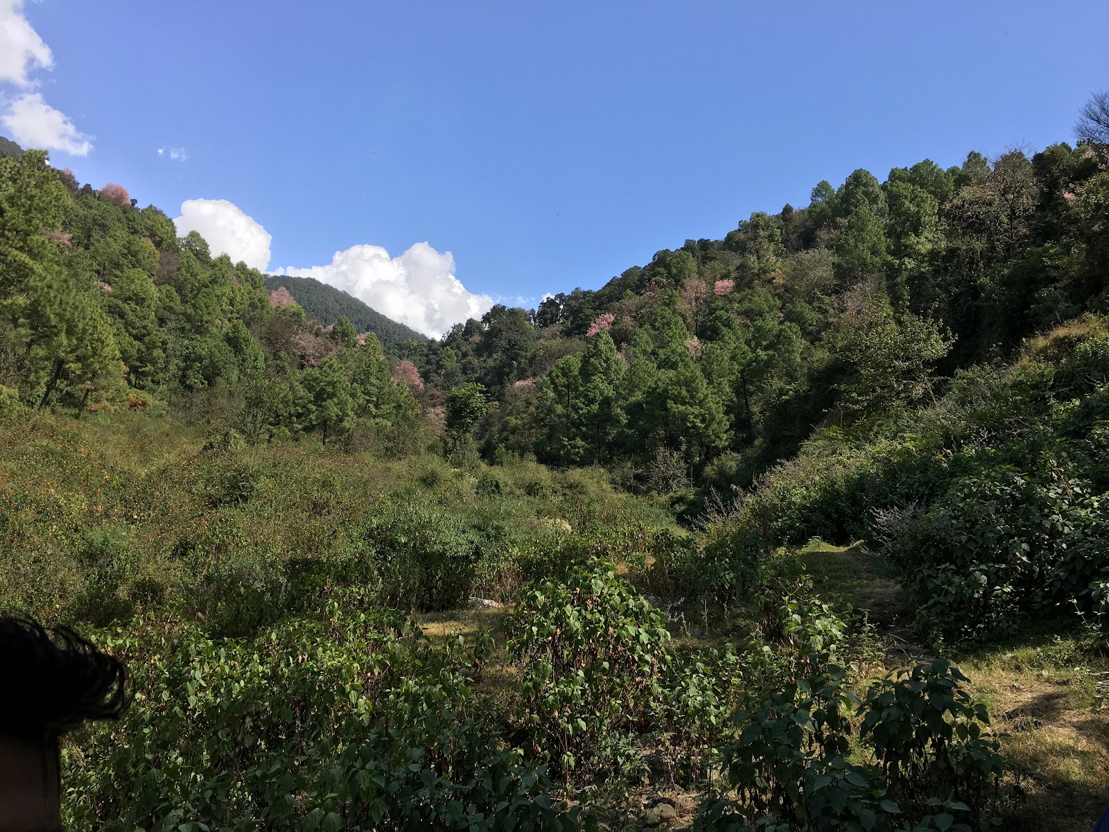 Kangra Valley