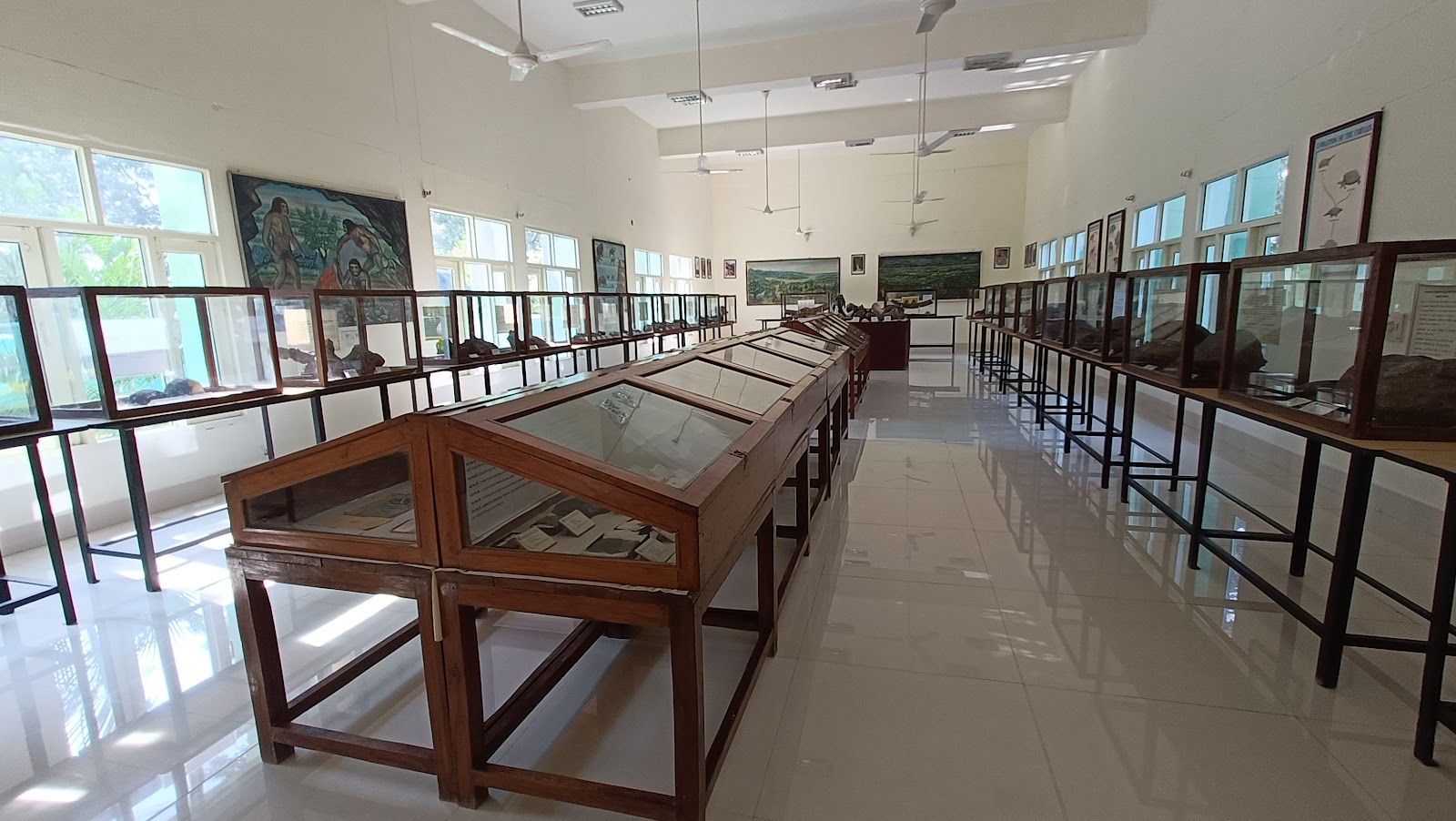 Shivalik Fossil Park