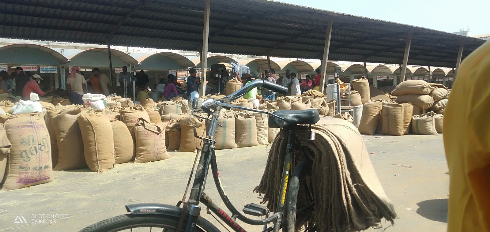 Unjha Cumin Market