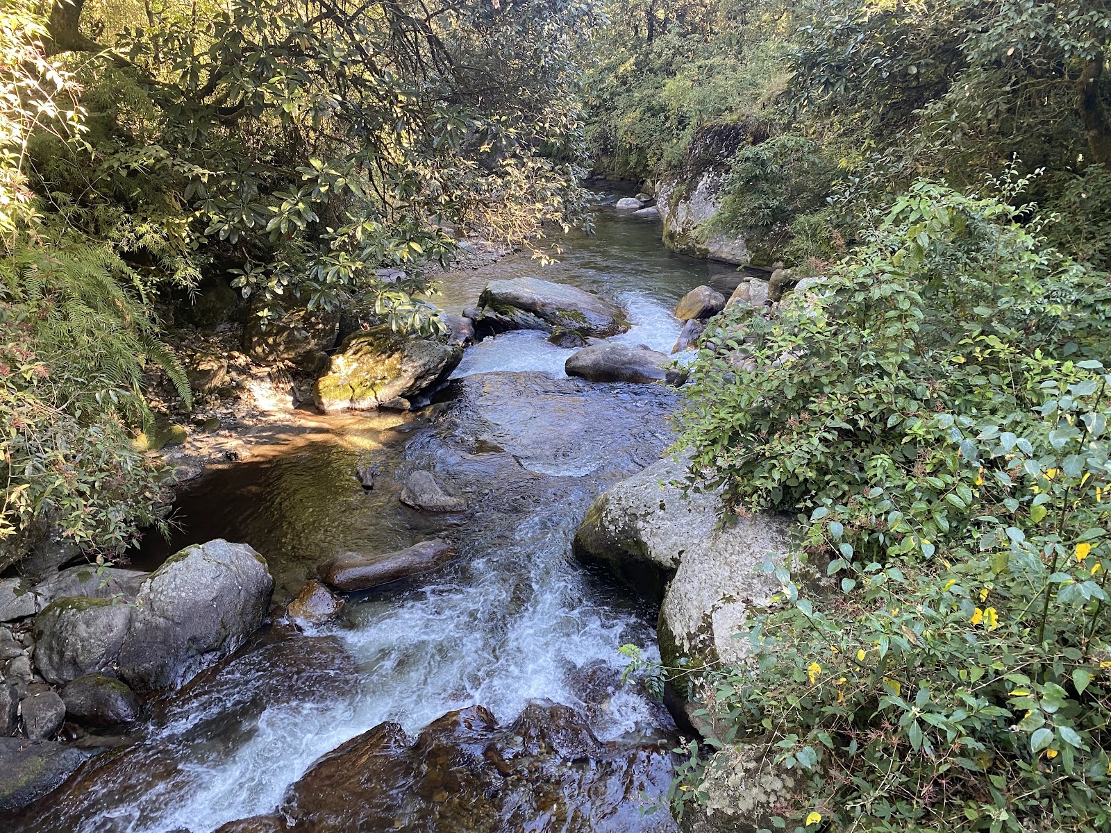 Singalila National Park