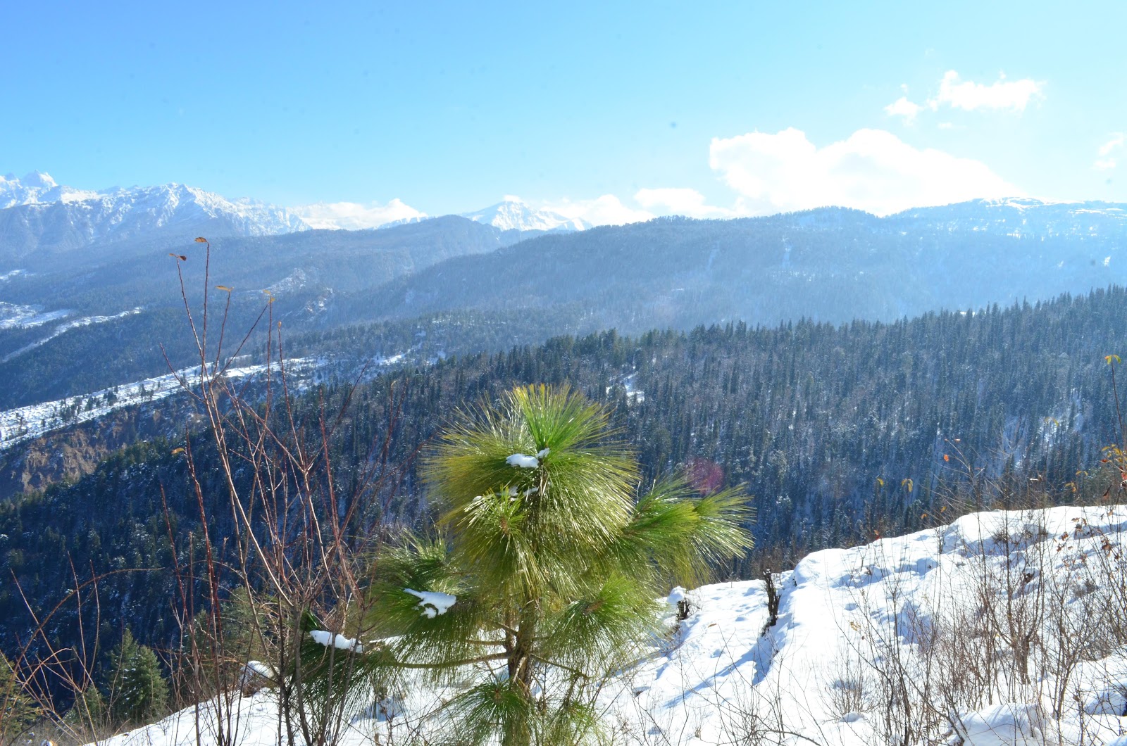 Govind Pashu Vihar National Park