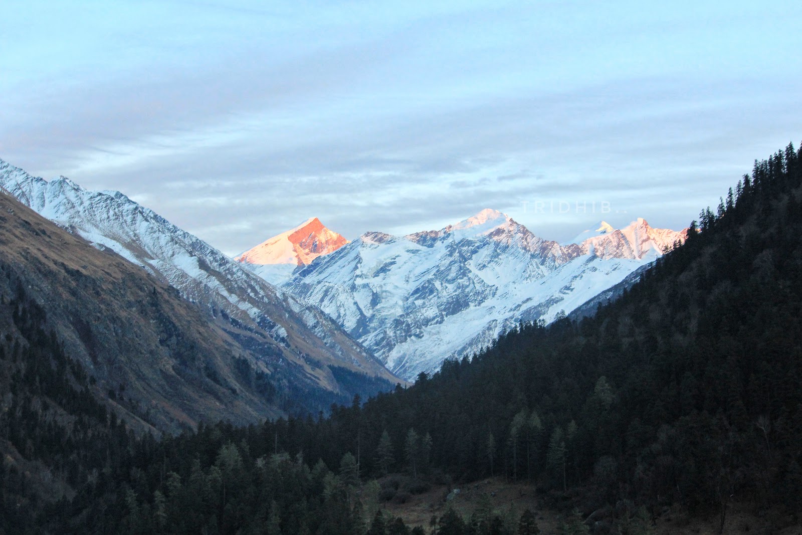 Govind Pashu Vihar National Park