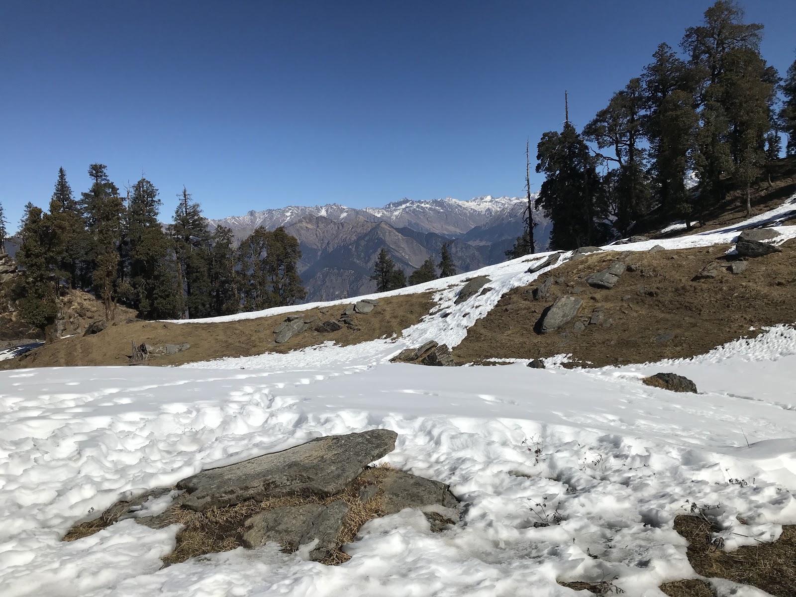 Govind Pashu Vihar National Park