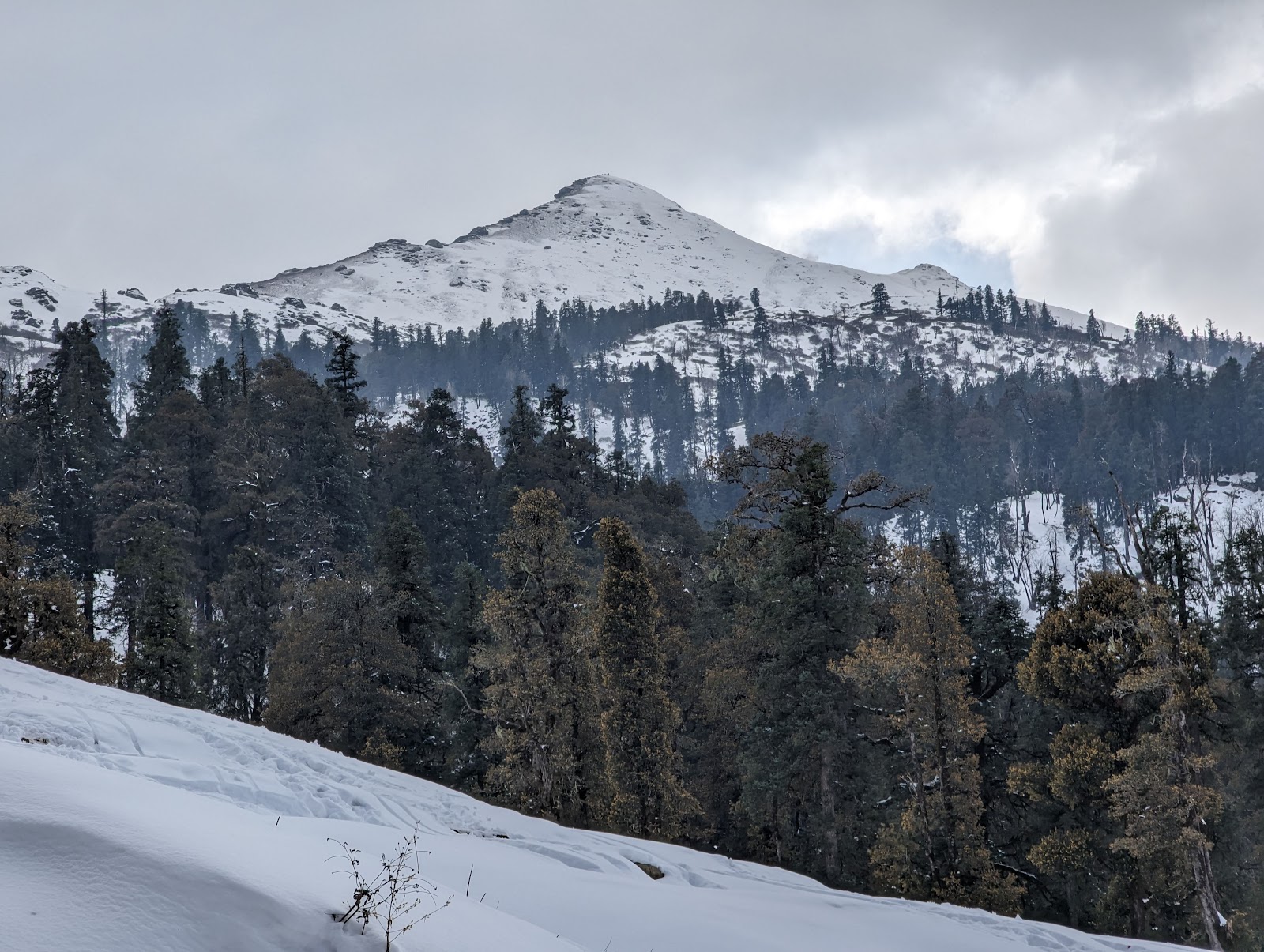 Govind Pashu Vihar National Park