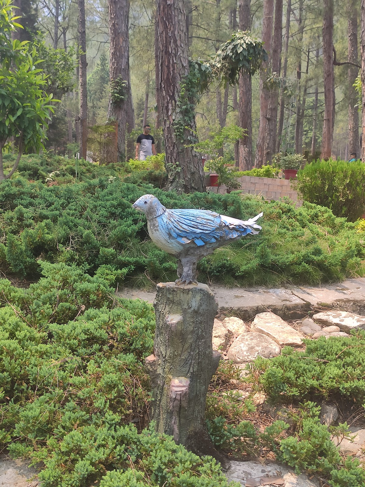 Nehru Institute of Mountaineering