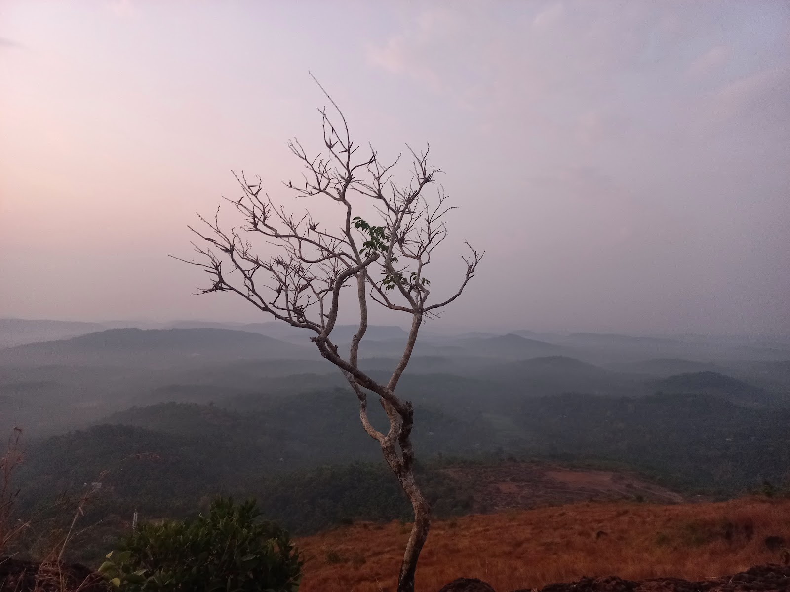 Chekunnu Cliff Viewpoint Vadakara Kerala India
