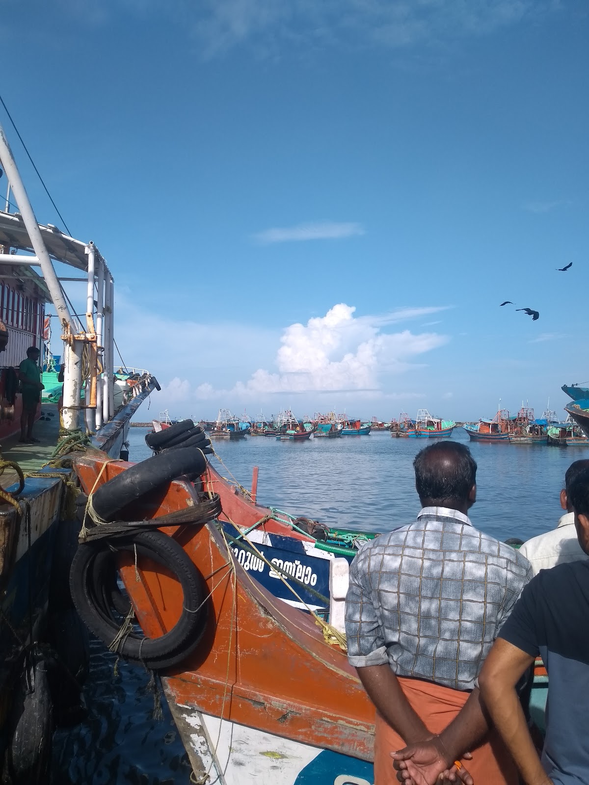 Fishing Jetty Vadakara Kerala India