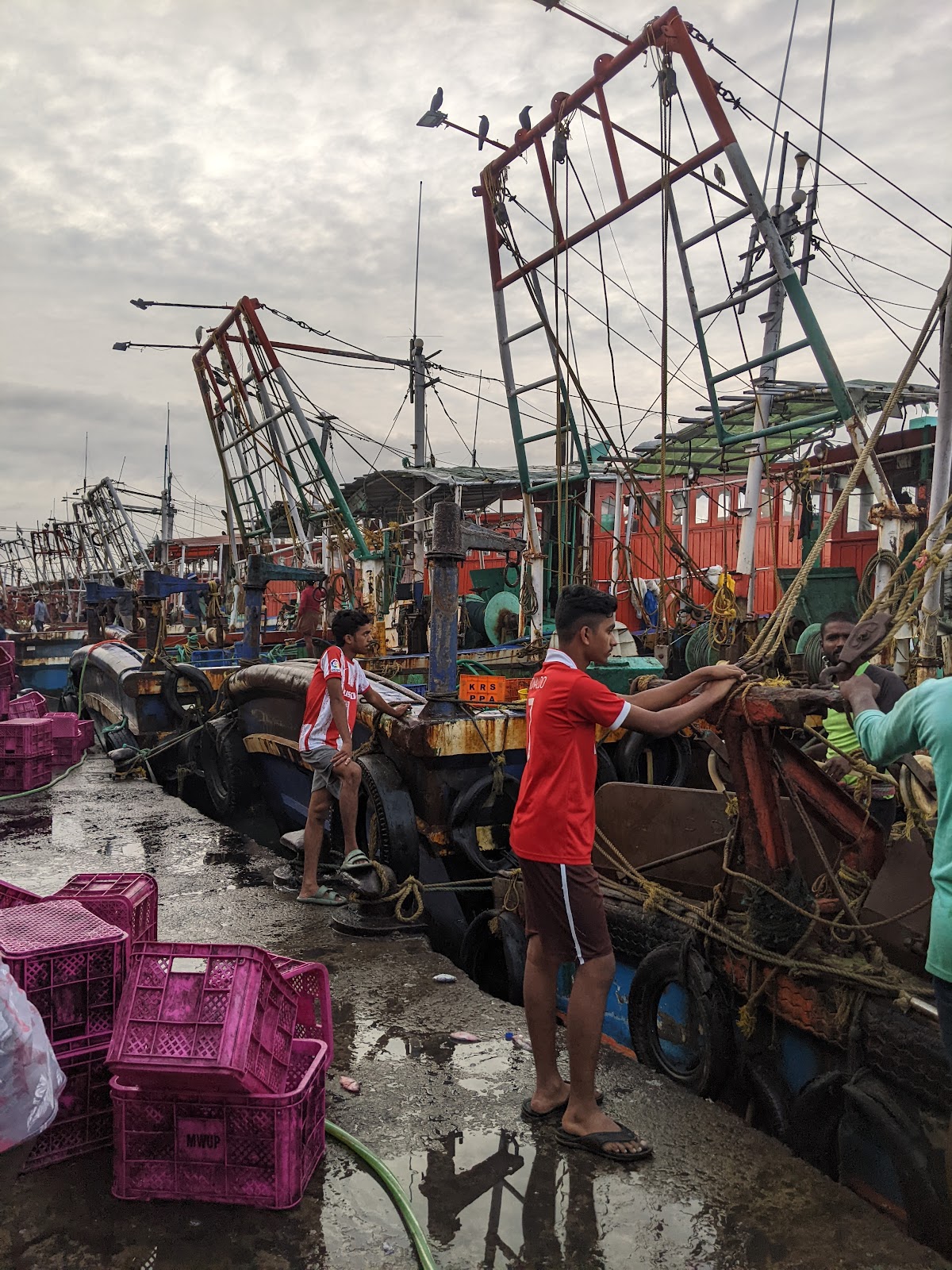 Fishing Jetty Vadakara Kerala India
