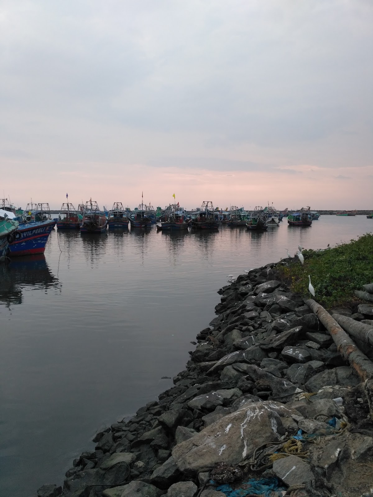 Fishing Jetty Vadakara Kerala India