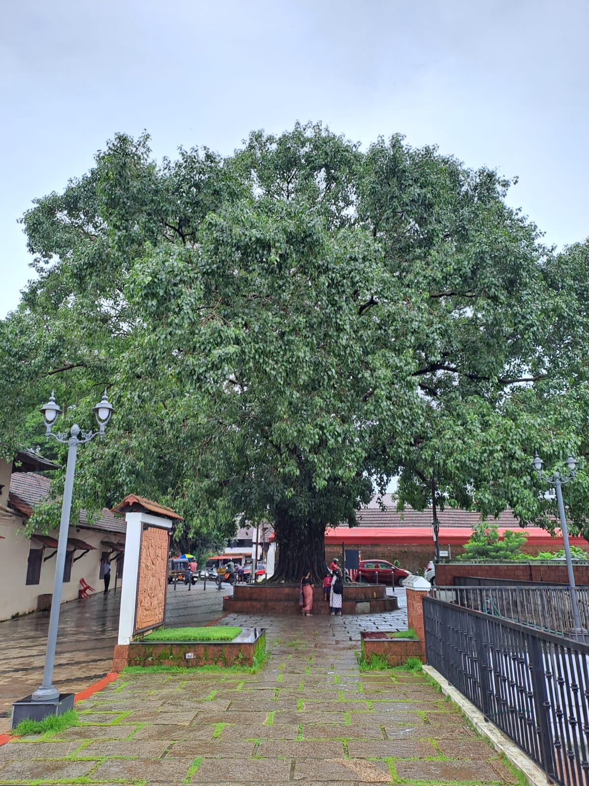 Thali Temple Vadakara Kerala India