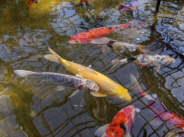 Vadgam Old Fort Remnant