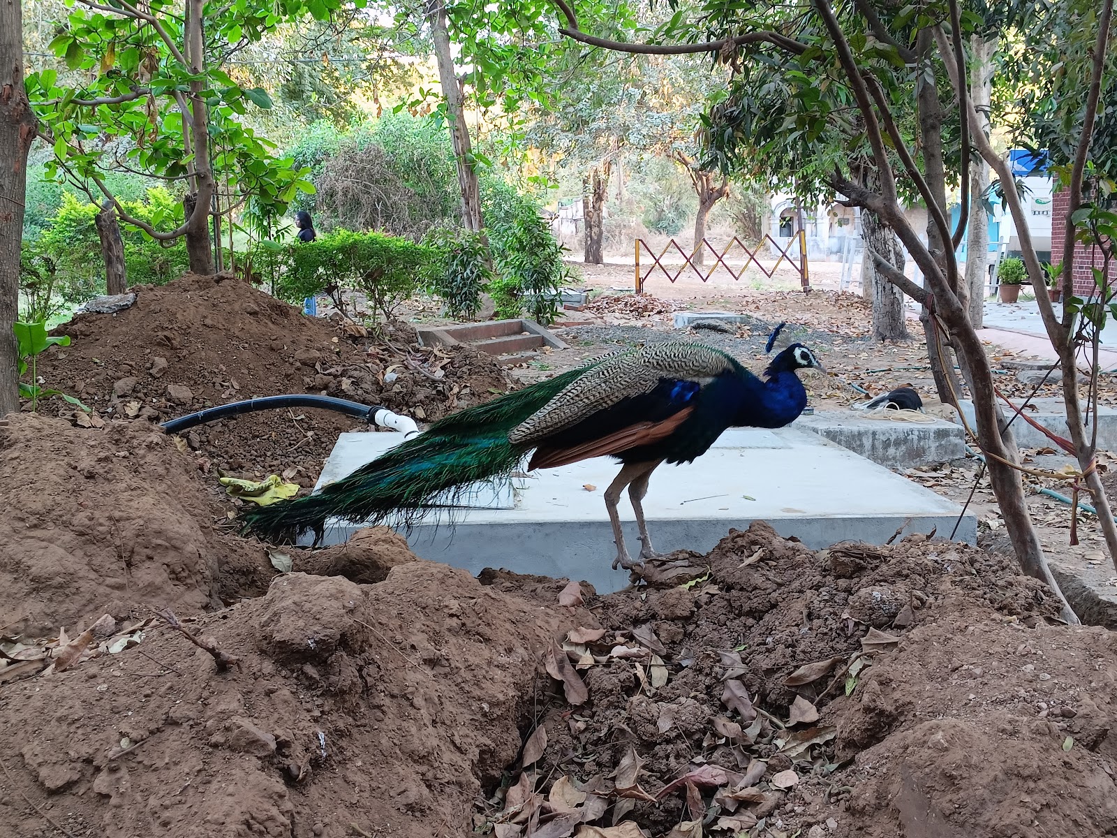 Maharaja Fateh Singh Museum