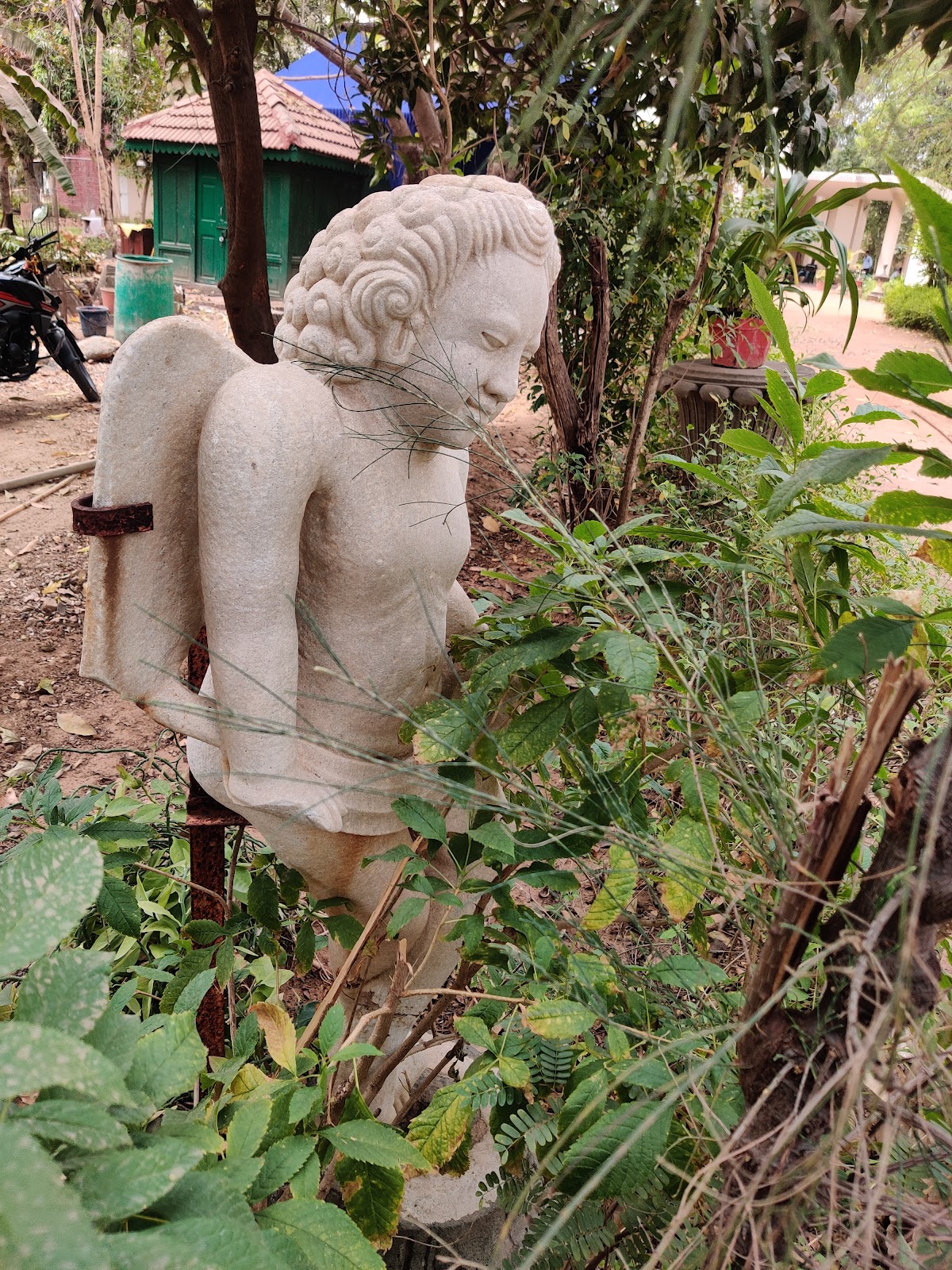 Maharaja Fateh Singh Museum