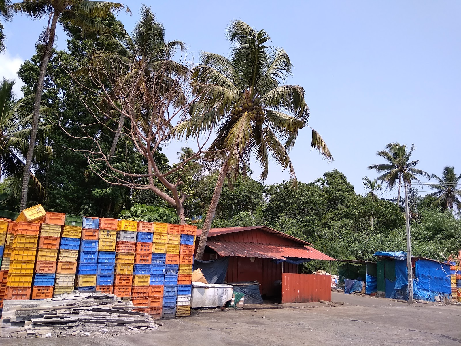 Chempakamangalam Market