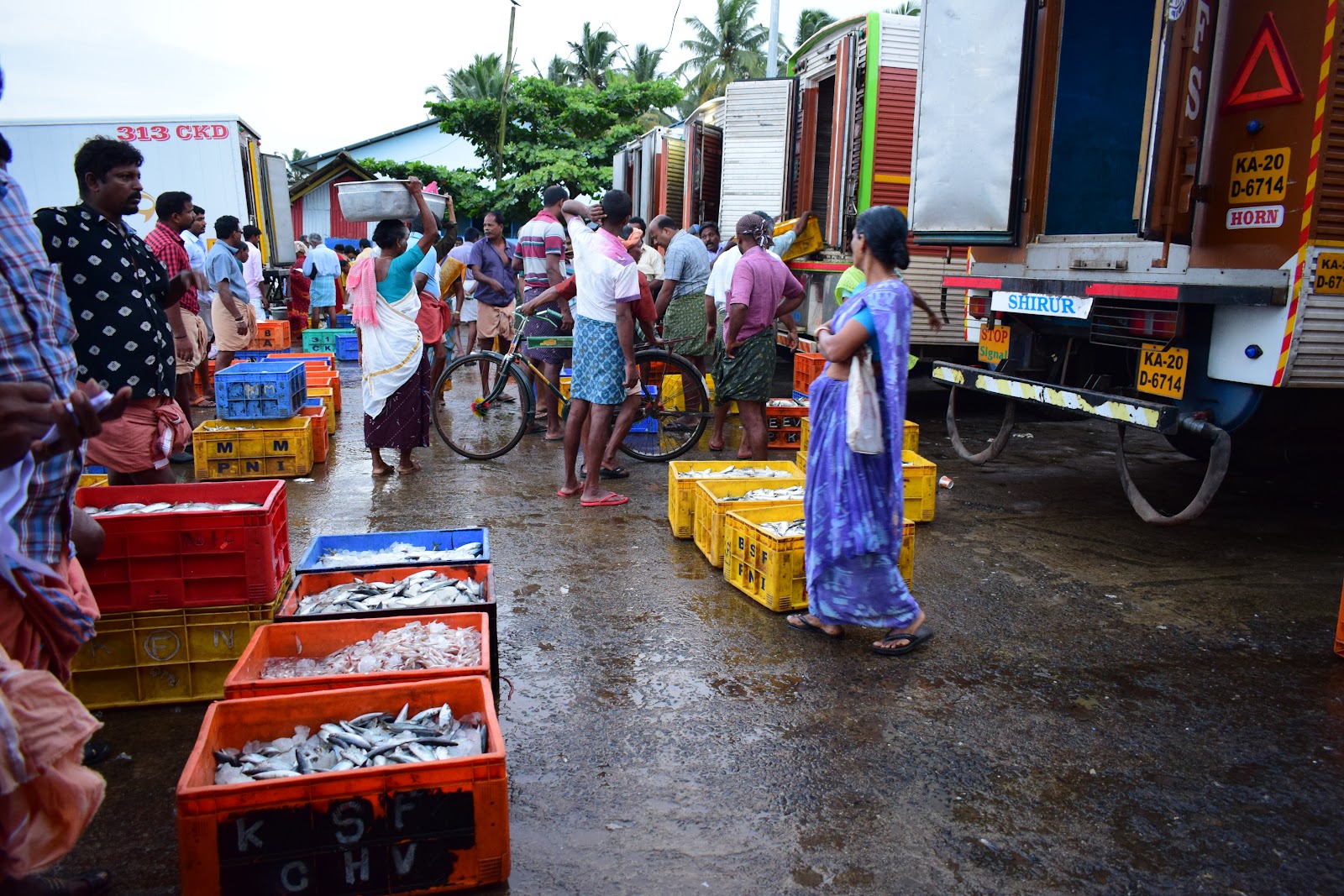 Chempakamangalam Market