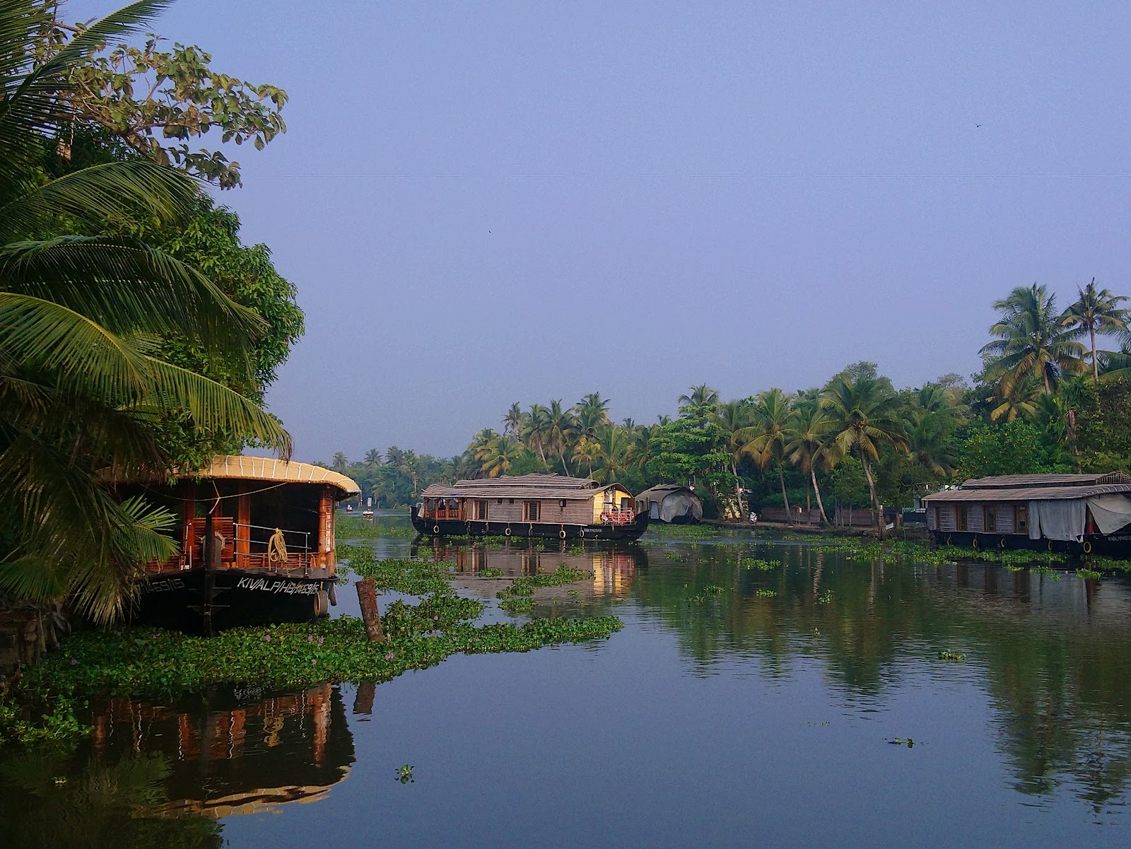 Kumarakom Bird Sanctuary