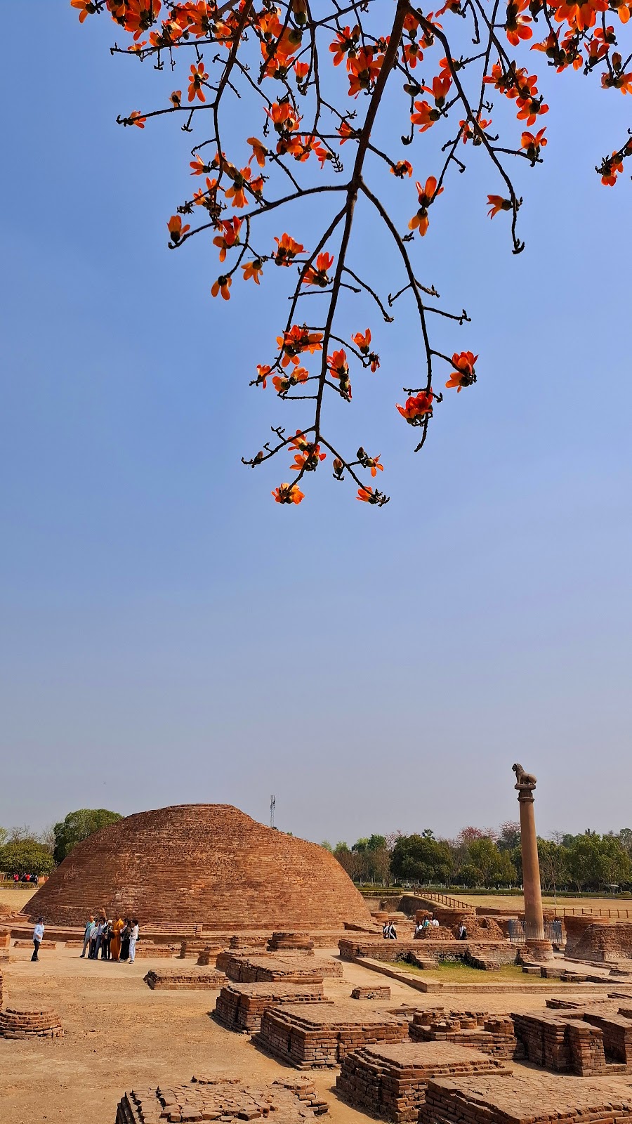 Vaishali Stupa