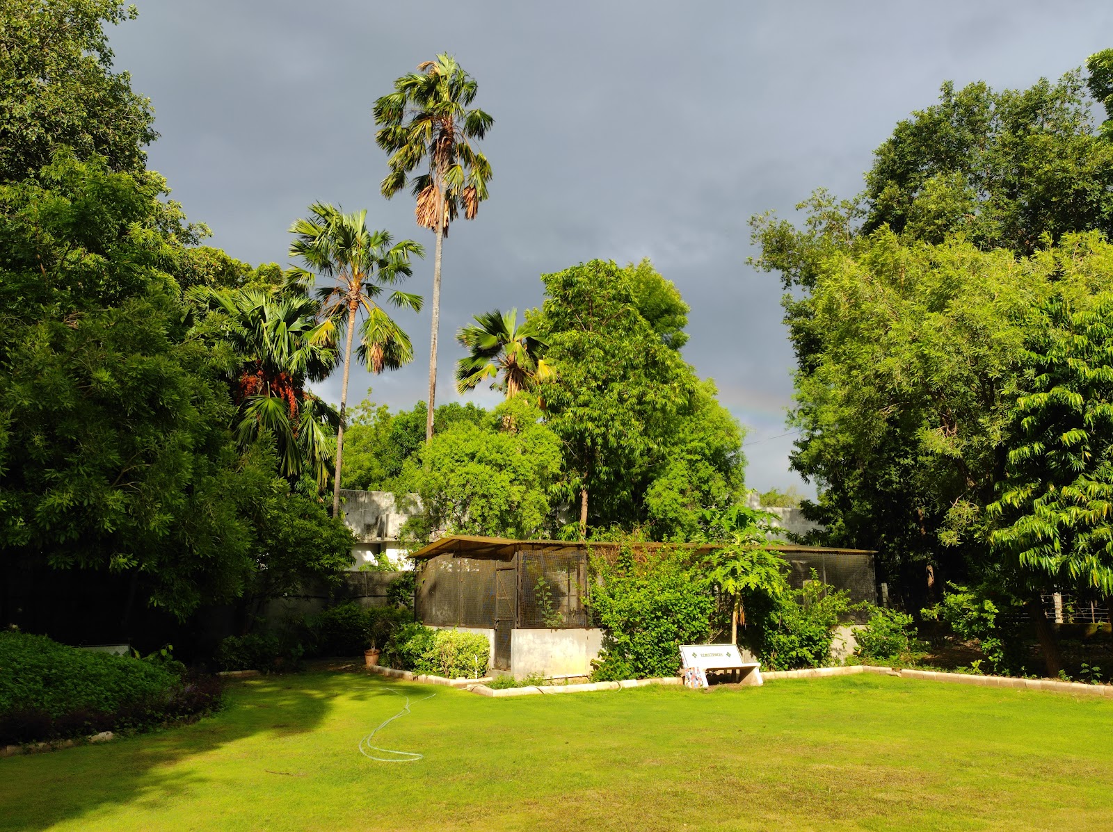 Vallabh Vidyanagar Botanical Garden
