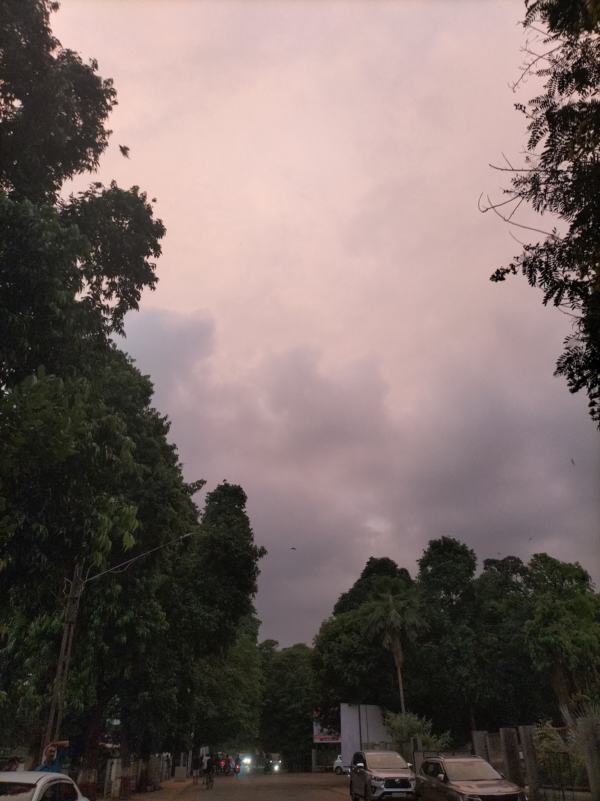 Vallabh Vidyanagar Lake