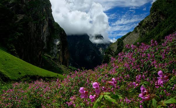 Valley of Flowers National Park - A UNESCO World Heritage Site