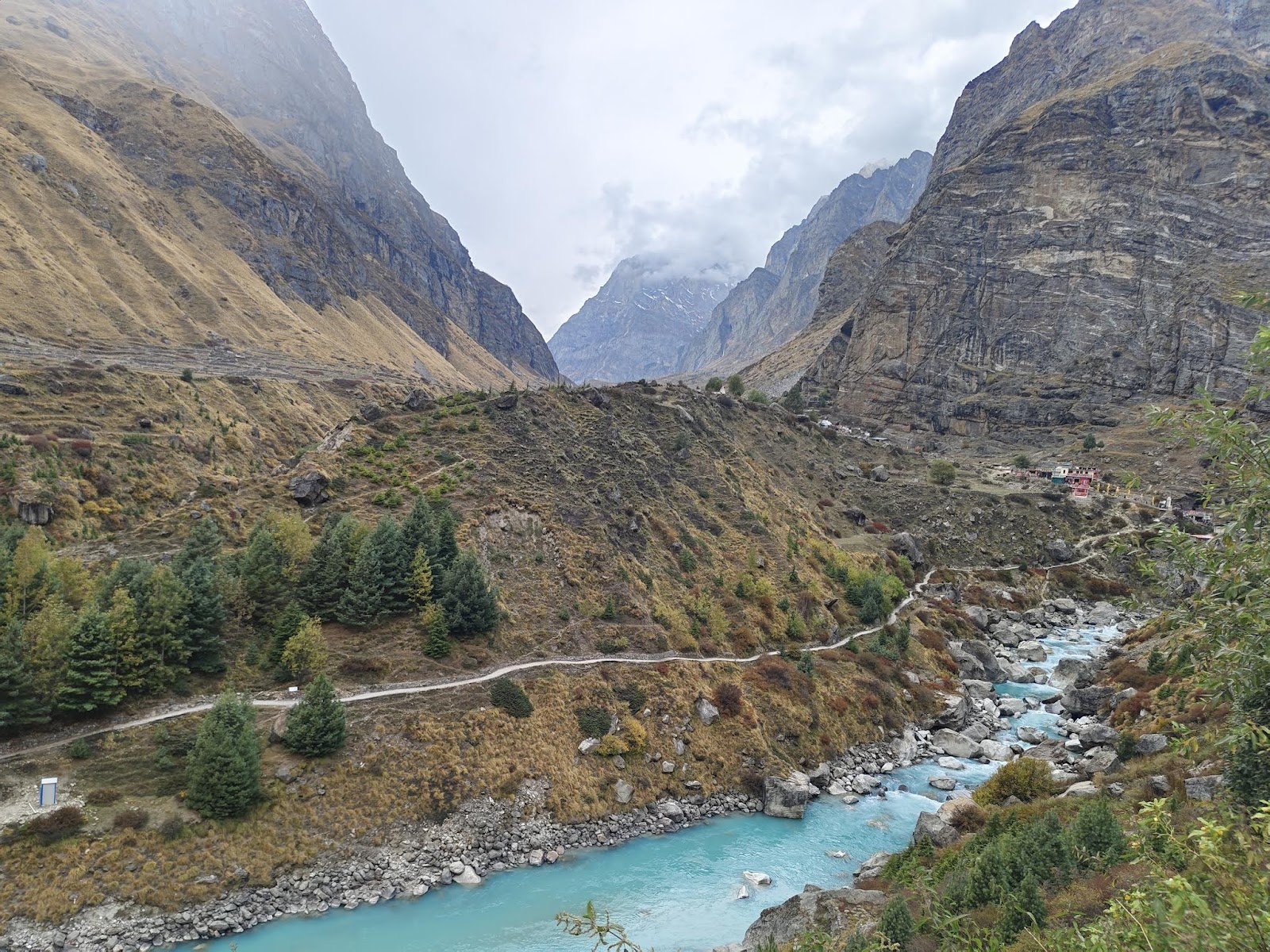 Nanda Devi National Park