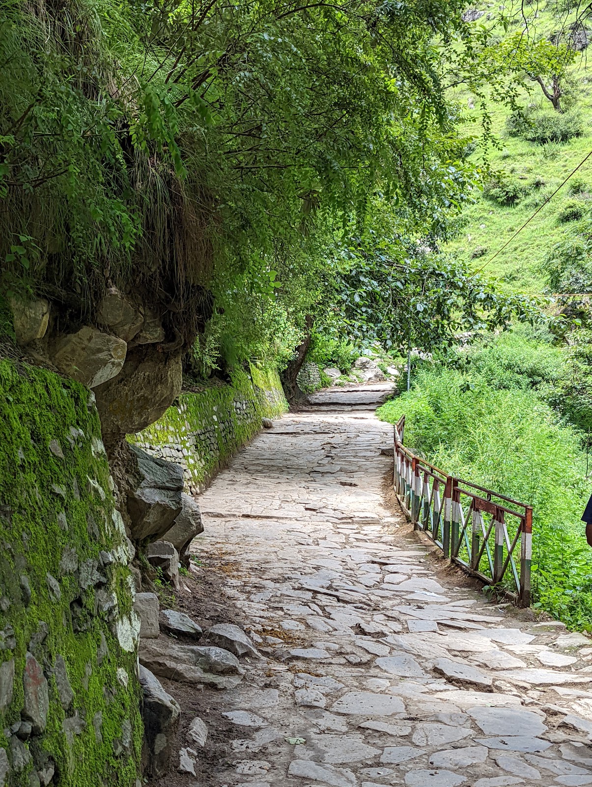 Valley of Flowers Trek
