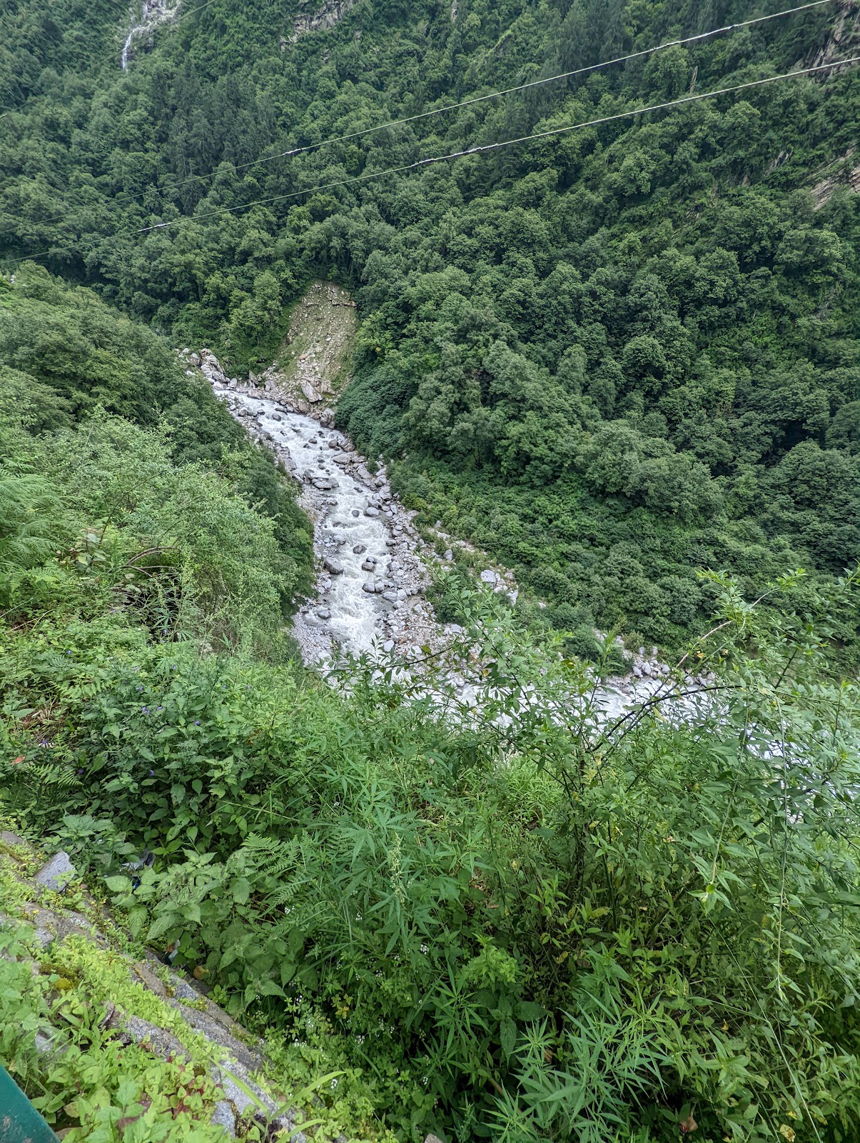 Valley of Flowers Trek