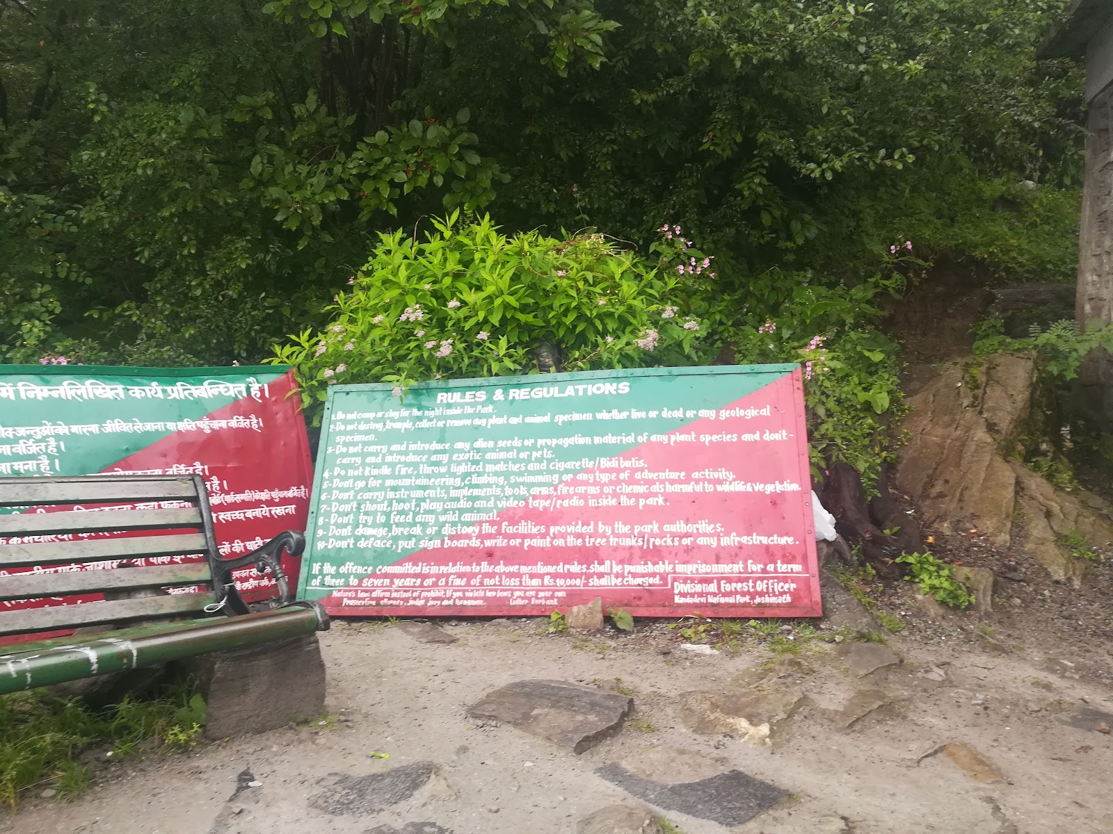 Valley of Flowers Trek