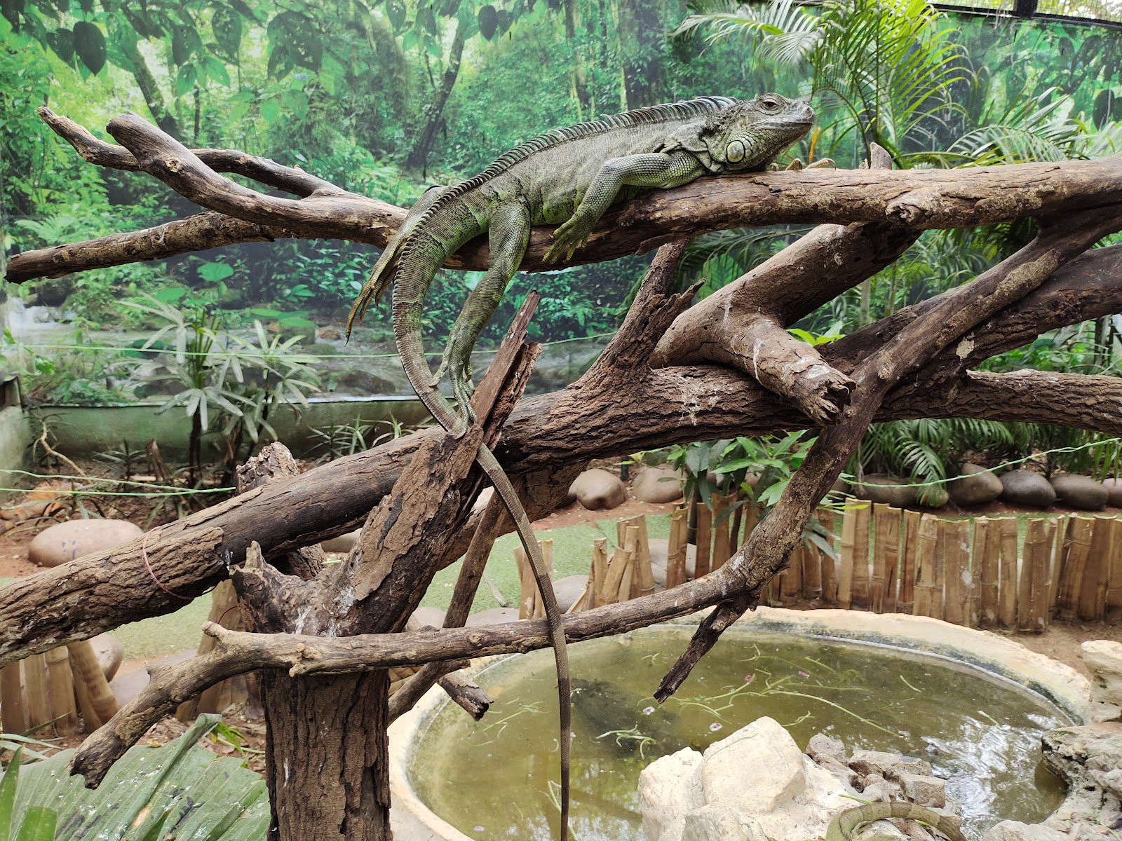 Guindy National Park Chennai