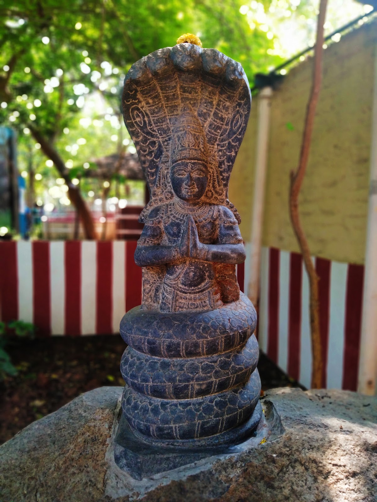 Guindy National Park Chennai