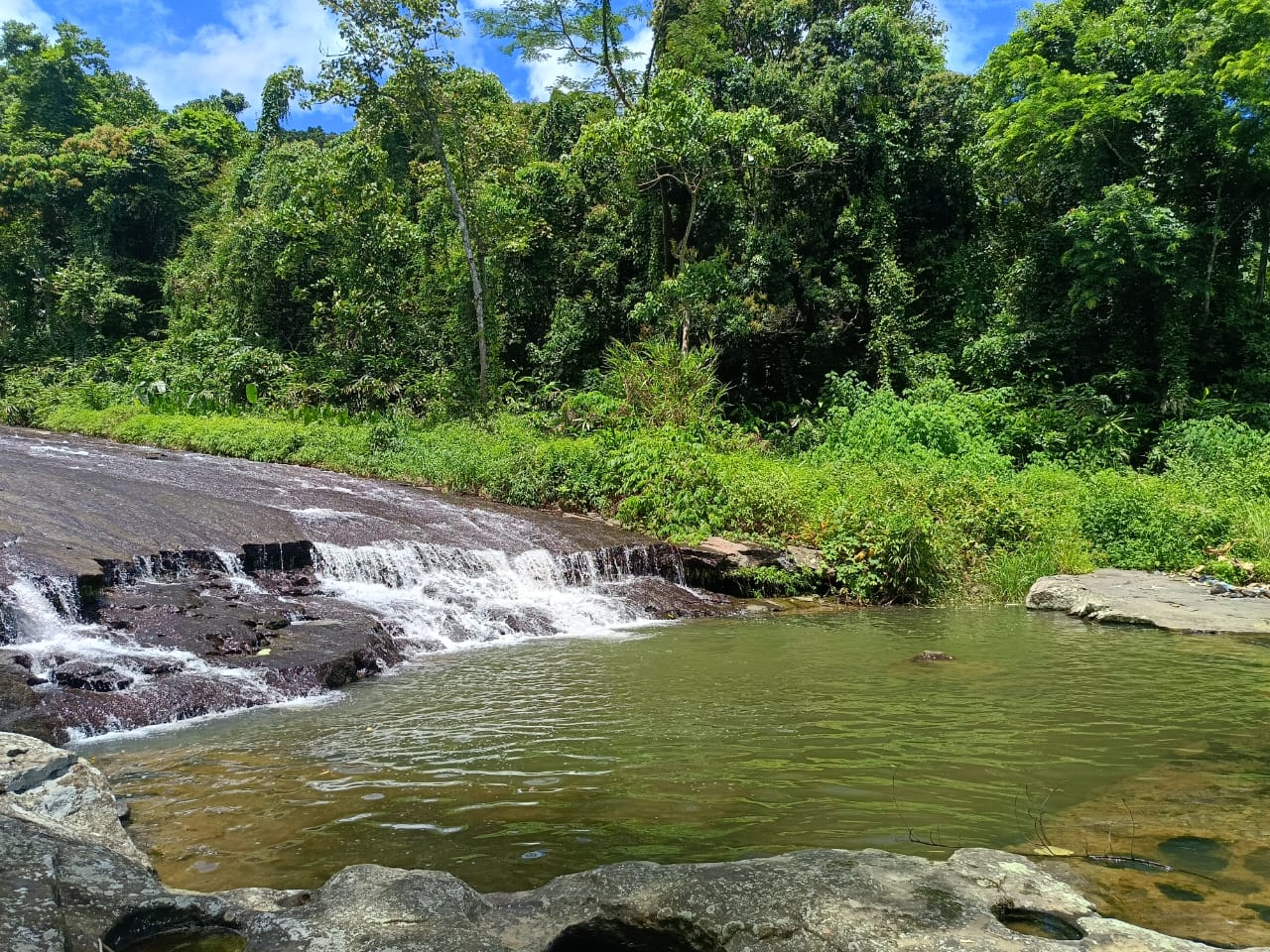 Riverside Walk and Picnic