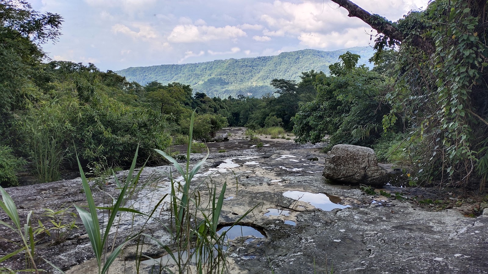 Riverside Walk and Picnic
