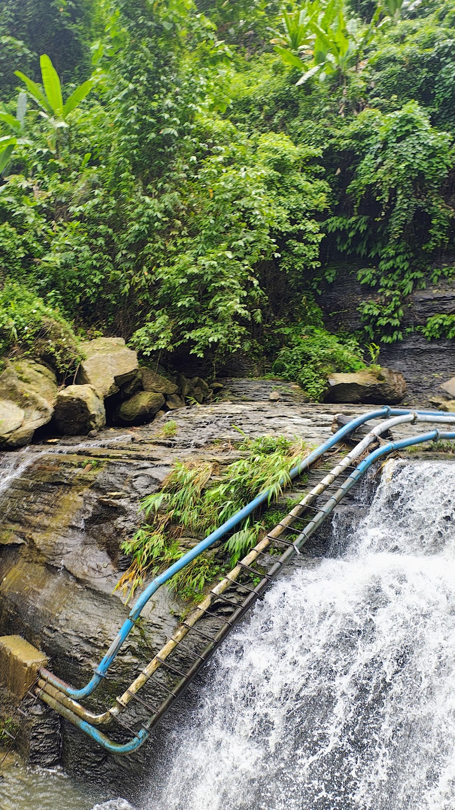 Riverside Walk and Picnic
