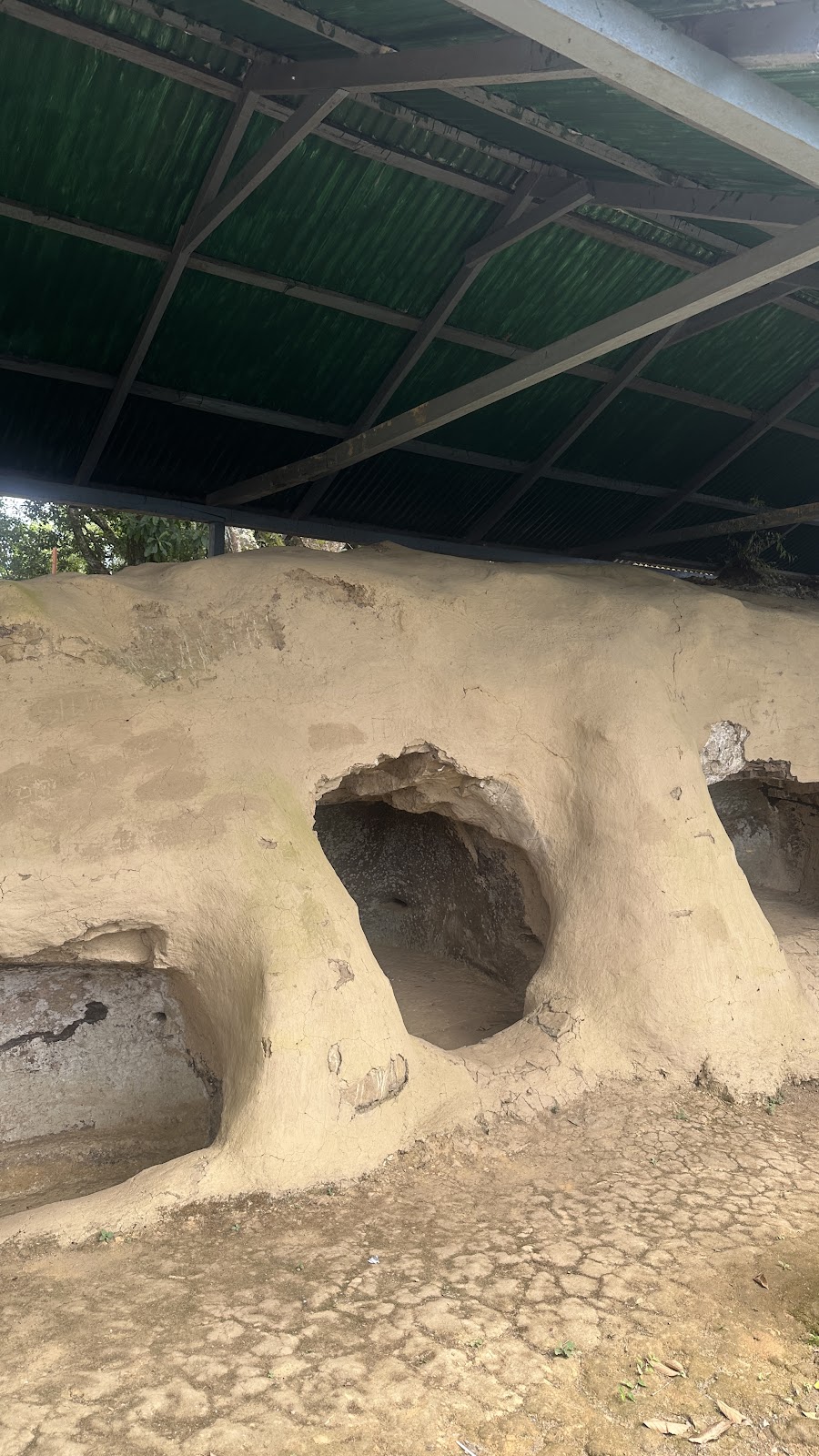 Vangchhia Heritage Cluster