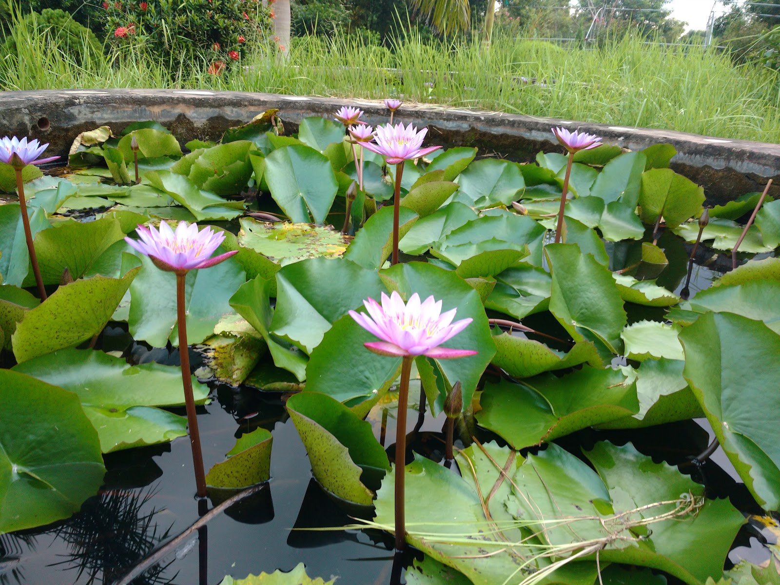 River Bend Picnic Spot