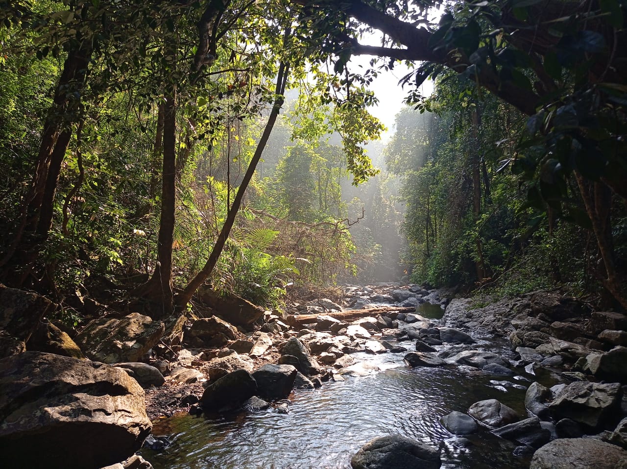 Netravali Wildlife Sanctuary