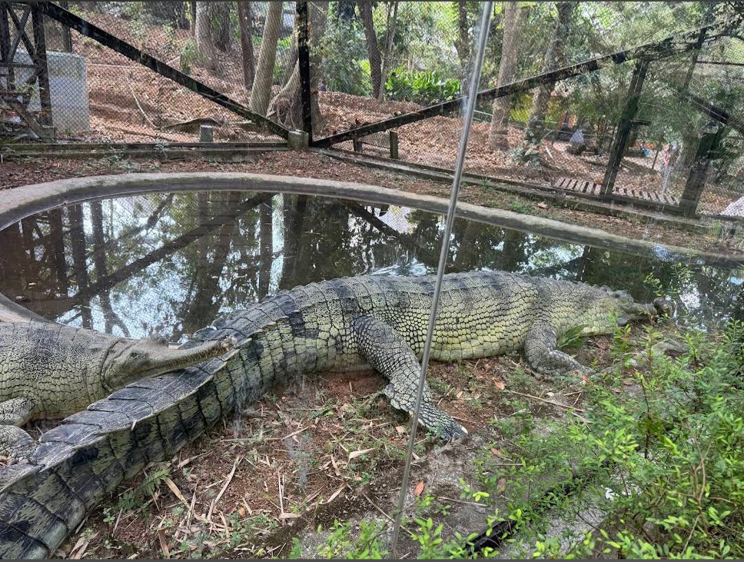 Thiruvananthapuram Zoo
