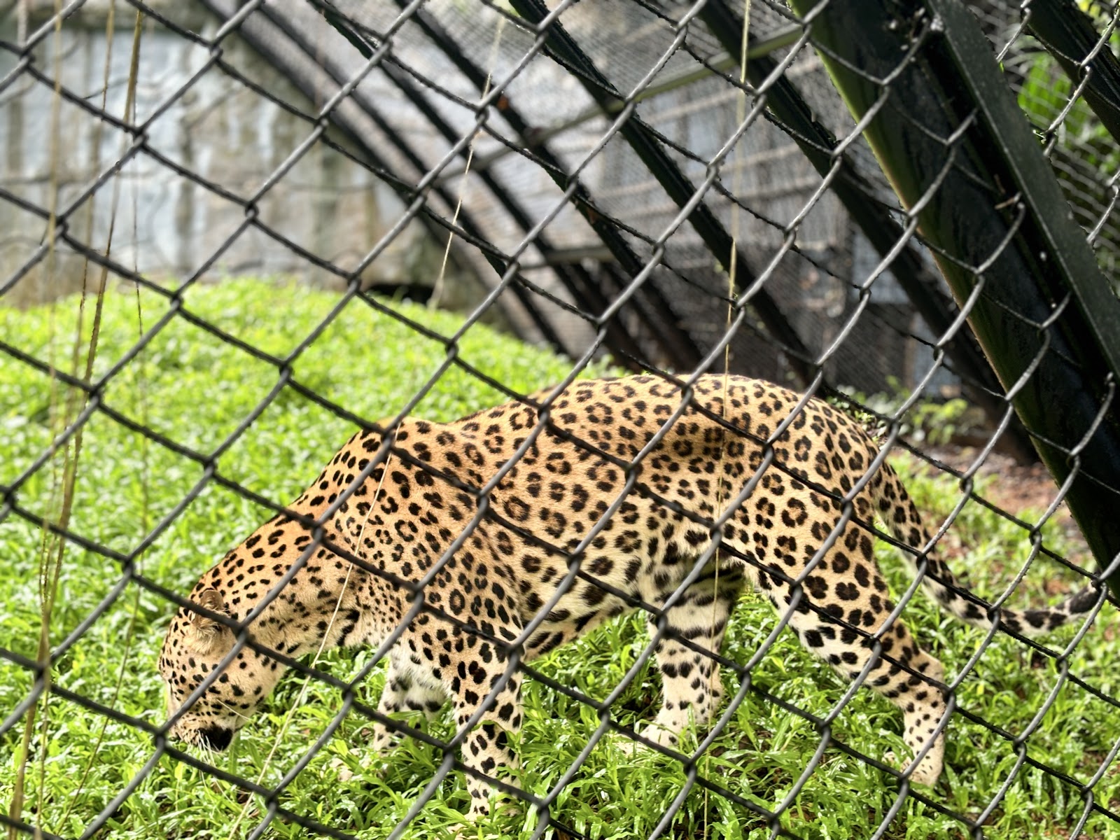 Thiruvananthapuram Zoo