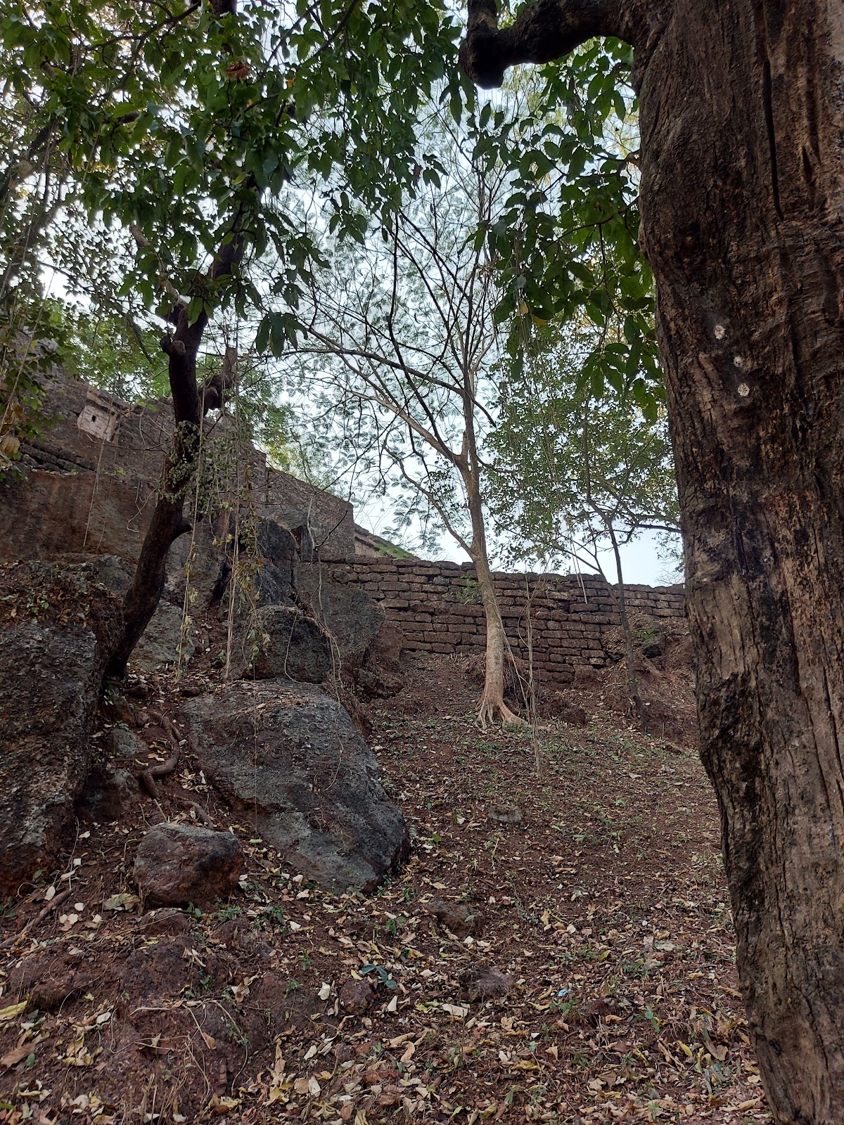 Mormugao Fort