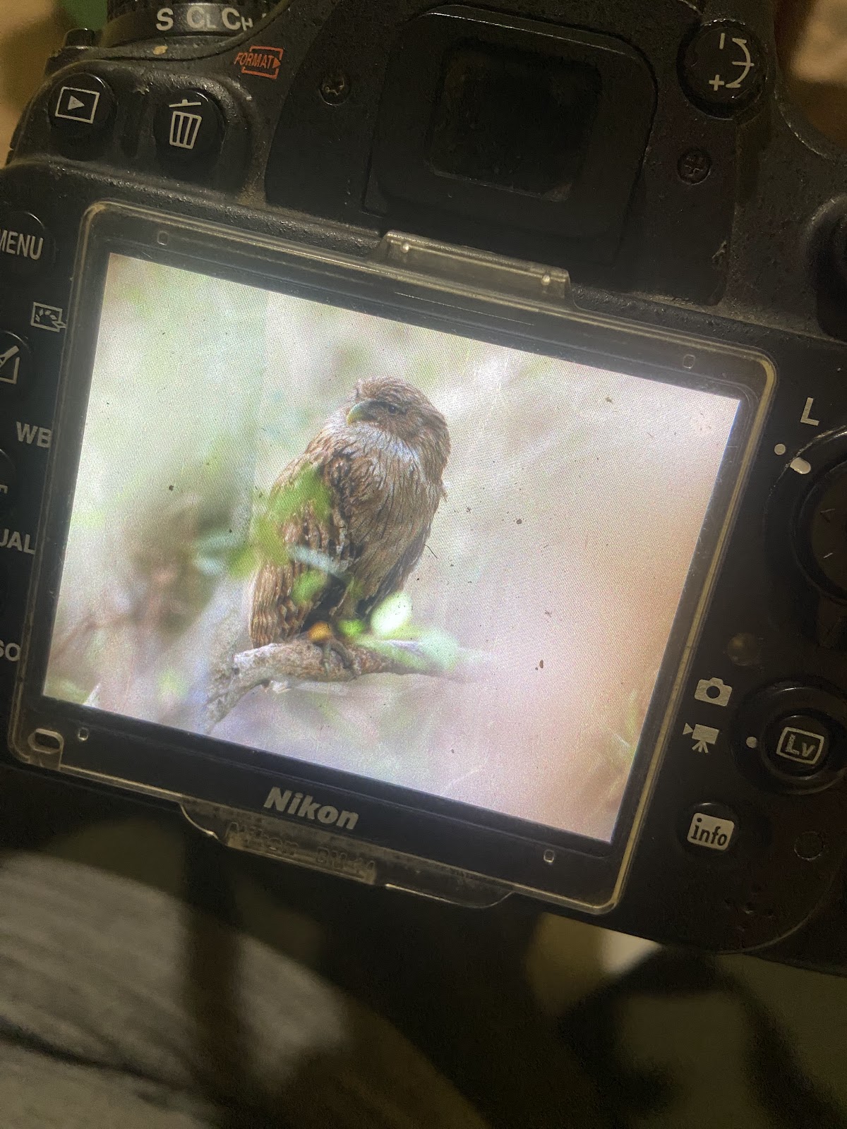 Photography Workshop